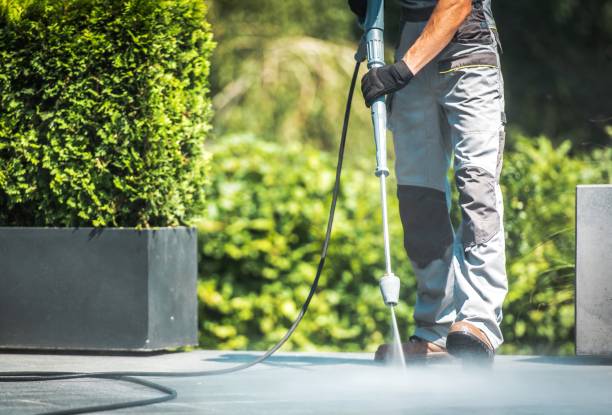 Best Sidewalk and Walkway Cleaning  in Ocean Acres, NJ